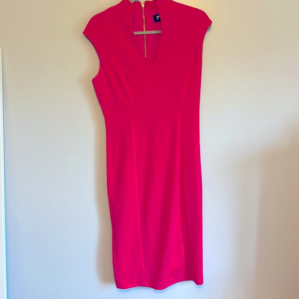 Alexia admor hot pink dress